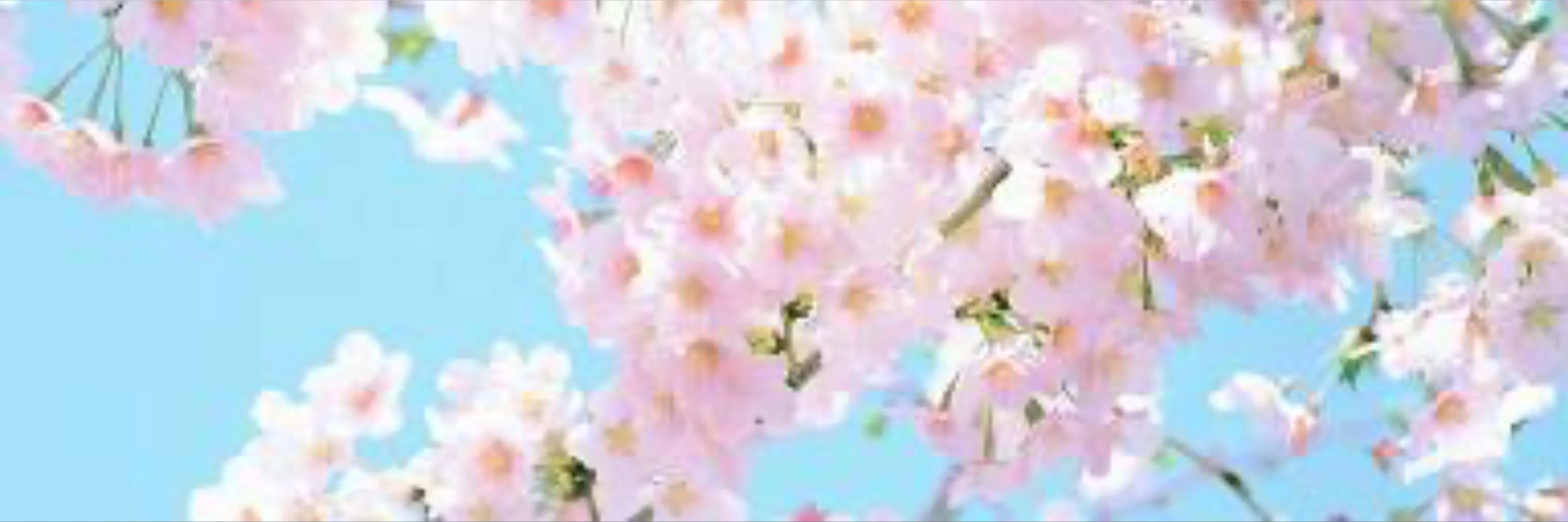 Alyssa 💕💫🌵😸